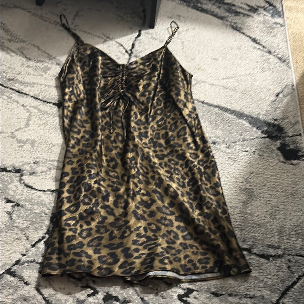 Zara Animal Print Satin Dress